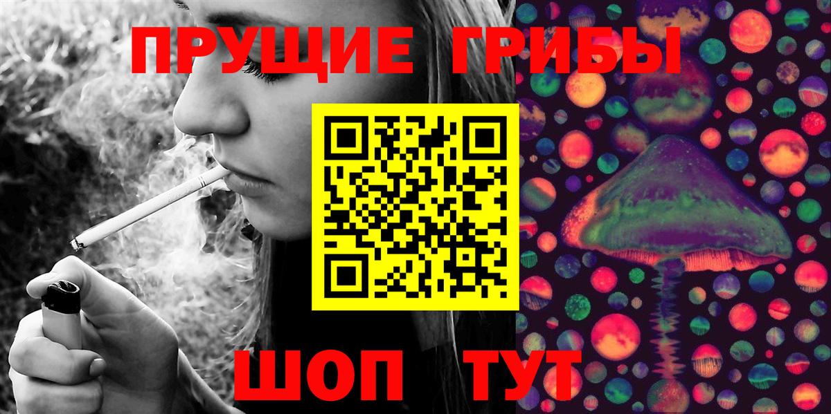 Псилоцибиновые грибы Cubensis  Вход с VPN  Кузнецк  Галлюциногенные грибы прущие грибы 