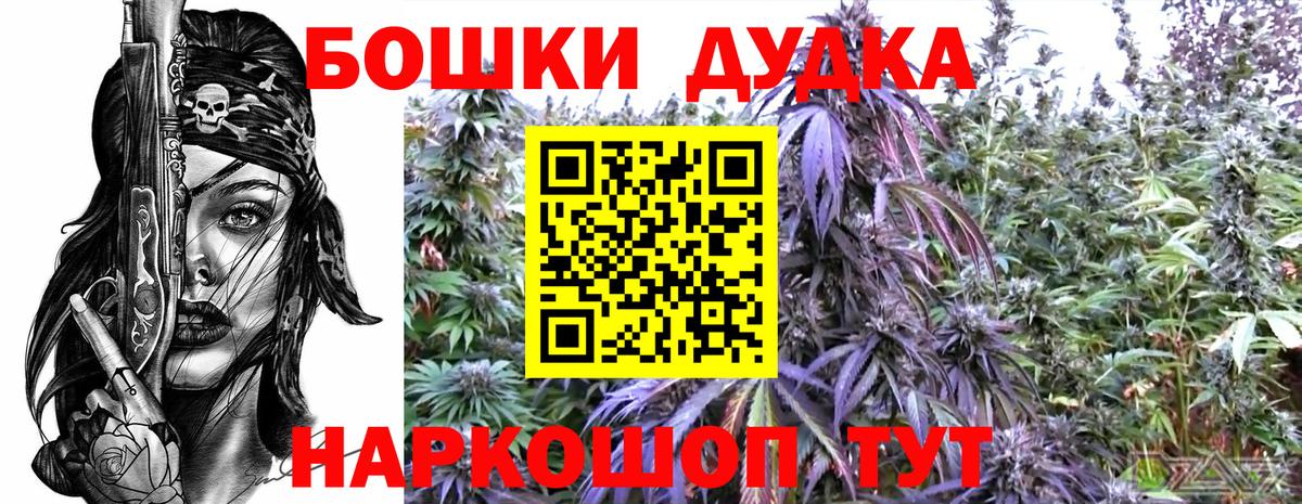 Бошки Шишки тримм  Бошки Шишки Bruce Banner  Кузнецк  Вход с VPN  Марихуана Ganja 